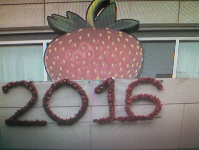 Strawberry Drop Harrisburg